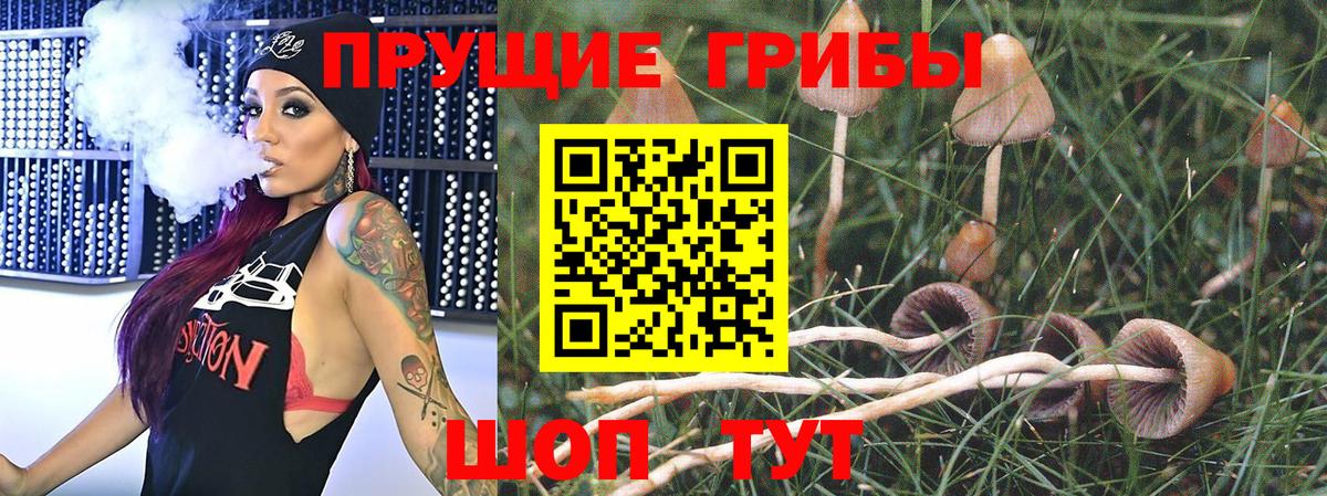 Хасавюрт  Псилоцибиновые грибы мицелий  Вход с VPN 